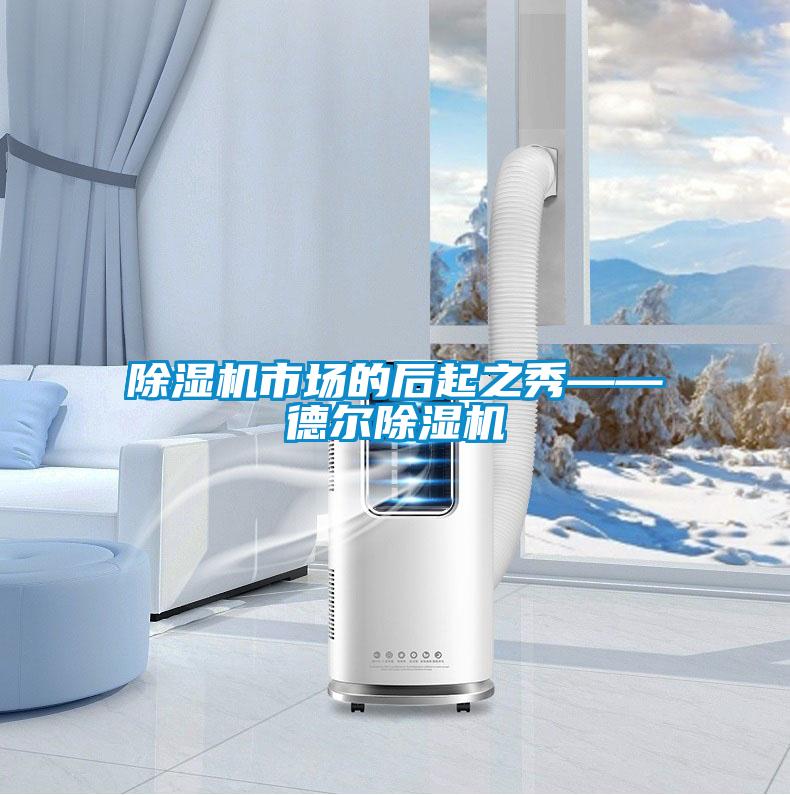 除濕機(jī)市場(chǎng)的后起之秀——德?tīng)柍凉駲C(jī)