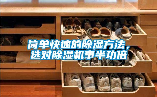 簡單快速的除濕方法，選對除濕機事半功倍