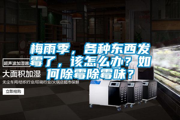 梅雨季，各種東西發(fā)霉了，該怎么辦？如何除霉除霉味？