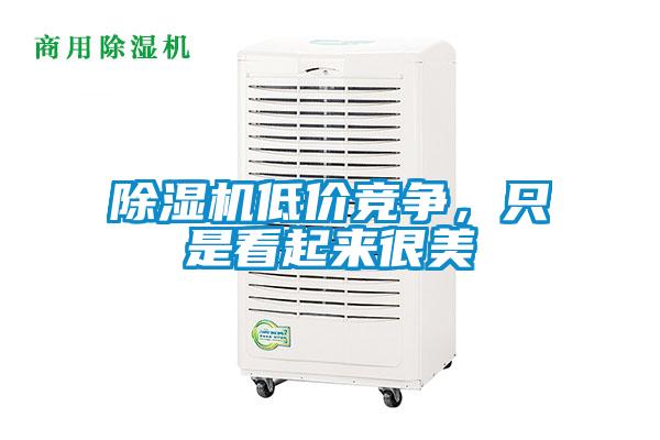 除濕機(jī)低價(jià)競(jìng)爭(zhēng),只是看起來(lái)很美