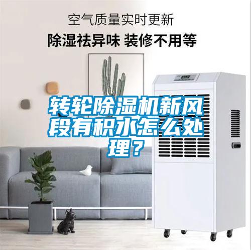 轉輪除濕機新風段有積水怎么處理？