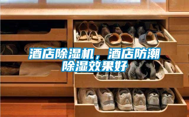 酒店除濕機，酒店防潮除濕效果好