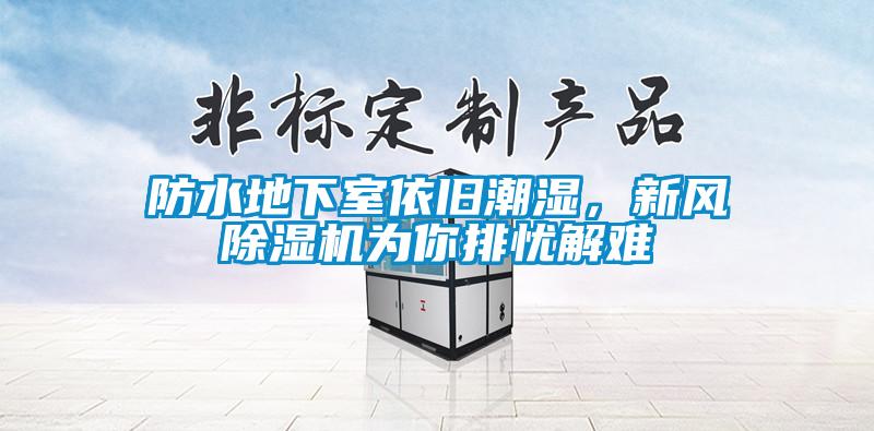 防水地下室依舊潮濕，新風除濕機為你排憂解難