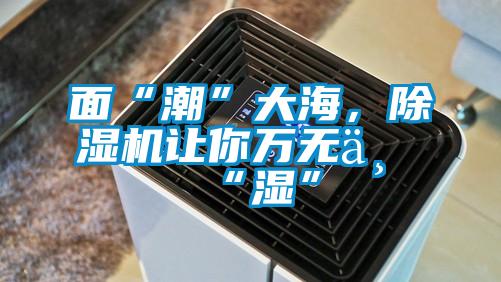 面“潮”大海,除濕機(jī)讓你萬無一“濕”