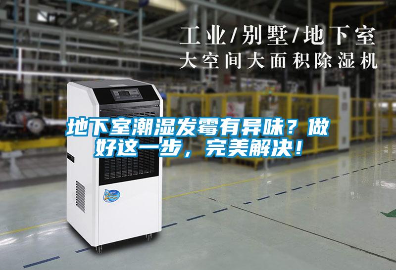 地下室潮濕發霉有異味？做好這一步，完美解決！