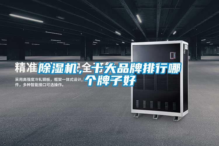 除濕機，十大品牌排行哪個牌子好