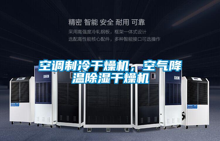 空調制冷干燥機，空氣降溫除濕干燥機