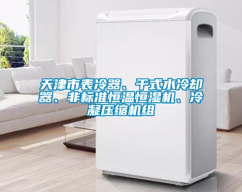 天津市表冷器、干式水冷卻器、非標準恒溫恒濕機、冷凝壓縮機組