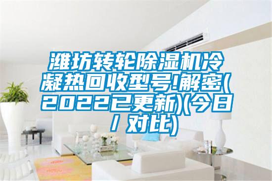 濰坊轉輪除濕機冷凝熱回收型號!解密(2022已更新)(今日/對比)