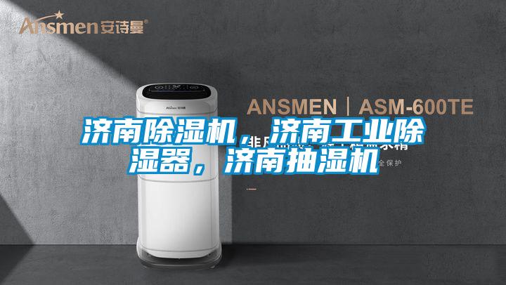 濟(jì)南除濕機(jī),濟(jì)南工業(yè)除濕器,濟(jì)南抽濕機(jī)