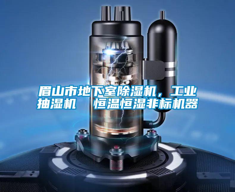 眉山市地下室除濕機,工業抽濕機 恒溫恒濕非標機器