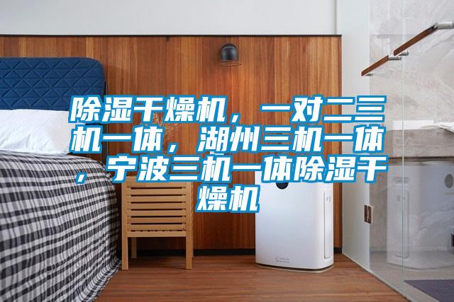 除濕干燥機(jī)，一對(duì)二三機(jī)一體，湖州三機(jī)一體，寧波三機(jī)一體除濕干燥機(jī)
