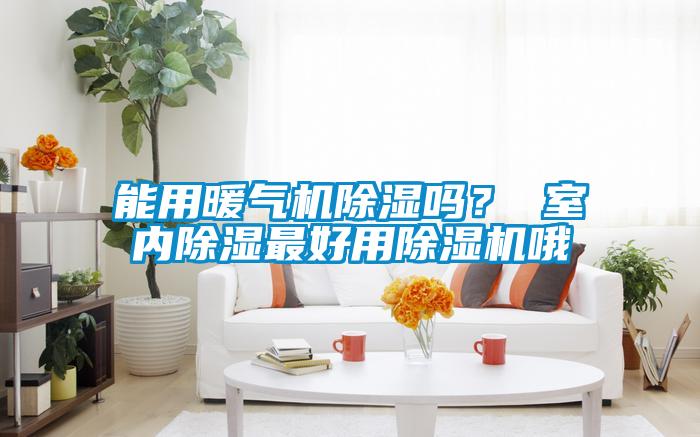 能用暖氣機除濕嗎？ 室內(nèi)除濕最好用除濕機哦