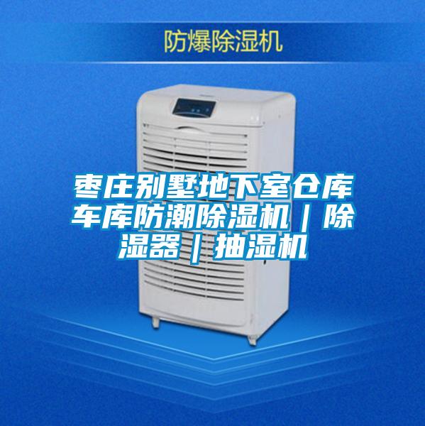 棗莊別墅地下室倉庫車庫防潮除濕機(jī)|除濕器|抽濕機(jī)