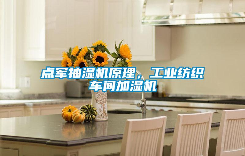 點軍抽濕機原理，工業(yè)紡織車間加濕機