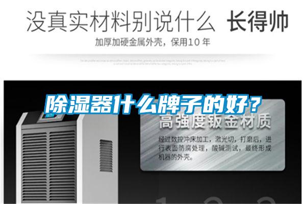 除濕器什么牌子的好？