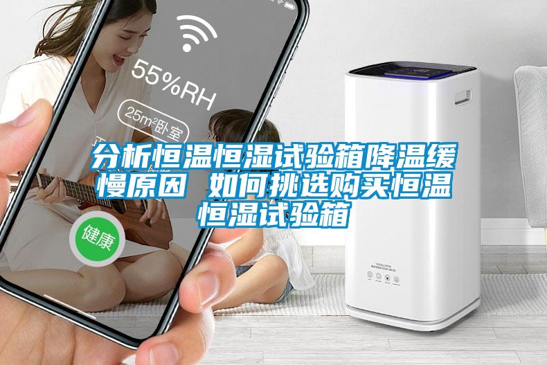 分析恒溫恒濕試驗(yàn)箱降溫緩慢原因 如何挑選購(gòu)買恒溫恒濕試驗(yàn)箱