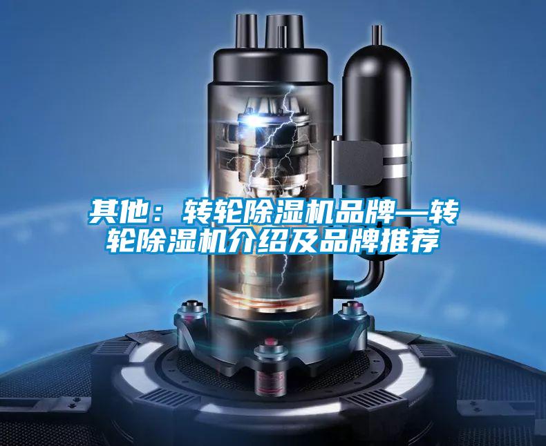 其他:轉(zhuǎn)輪除濕機(jī)品牌—轉(zhuǎn)輪除濕機(jī)介紹及品牌推薦