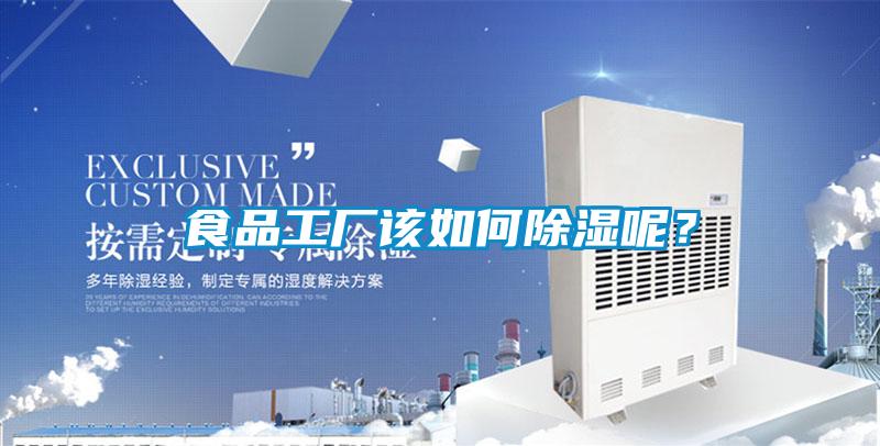 食品工廠該如何除濕呢？