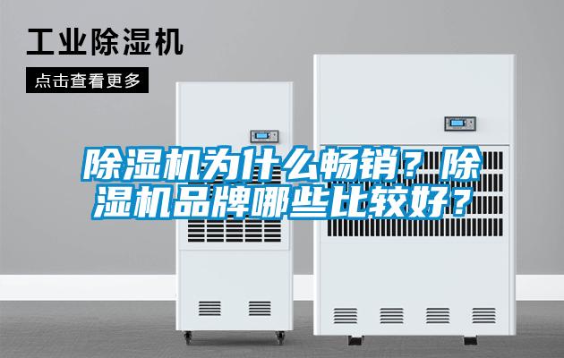 除濕機為什么暢銷？除濕機品牌哪些比較好？