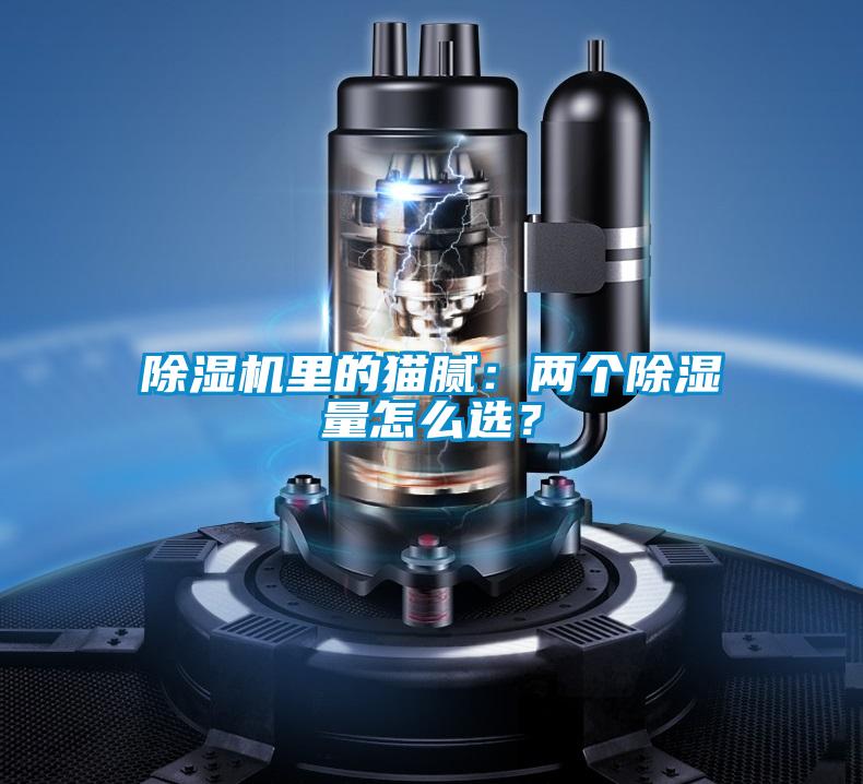 除濕機里的貓膩：兩個除濕量怎么選？