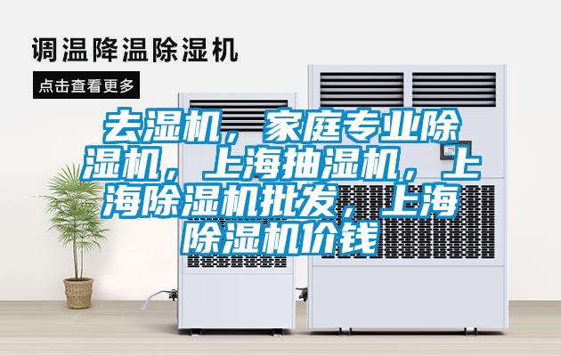 去濕機(jī)，家庭專業(yè)除濕機(jī)，上海抽濕機(jī)，上海除濕機(jī)批發(fā)，上海除濕機(jī)價(jià)錢(qián)