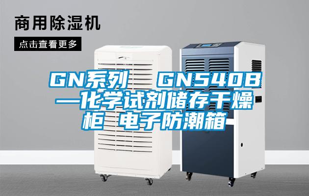 GN系列 GN540B—化學(xué)試劑儲存干燥柜 電子防潮箱