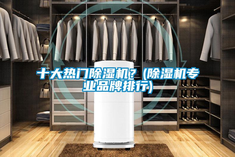 十大熱門除濕機?(除濕機專業(yè)品牌排行)