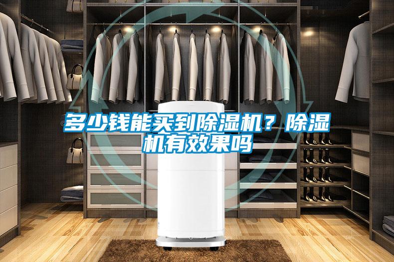 多少錢能買到除濕機？除濕機有效果嗎