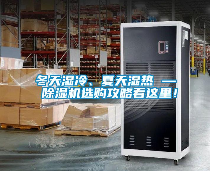冬天濕冷、夏天濕熱 — 除濕機選購攻略看這里！