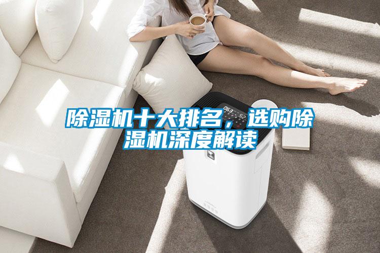 除濕機(jī)十大排名，選購除濕機(jī)深度解讀