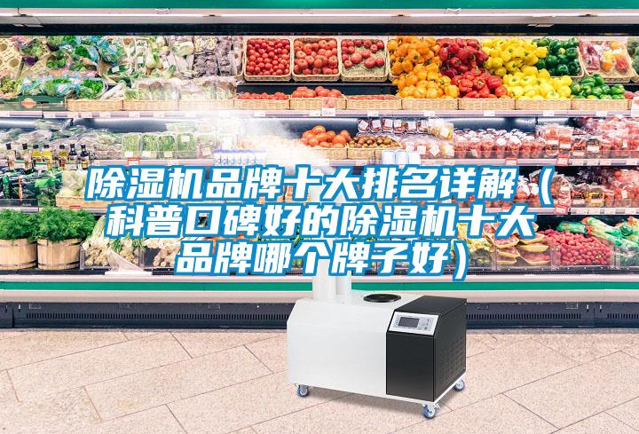 除濕機(jī)品牌十大排名詳解(科普口碑好的除濕機(jī)十大品牌哪個(gè)牌子好)
