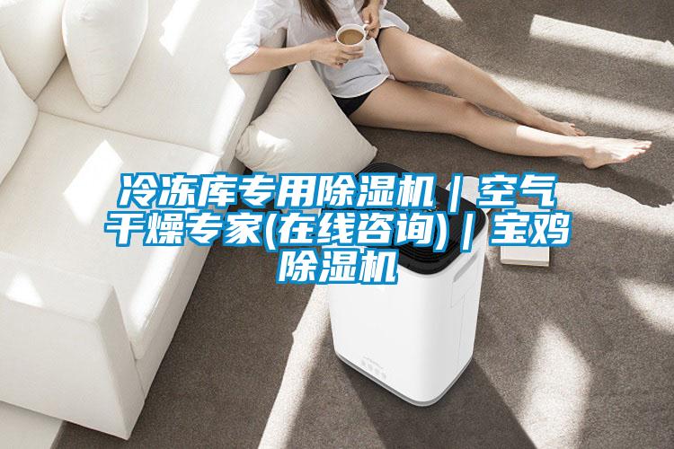 冷凍庫(kù)專用除濕機(jī)|空氣干燥專家(在線咨詢)|寶雞除濕機(jī)