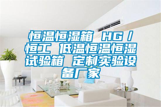 恒溫恒濕箱 HG/恒工 低溫恒溫恒濕試驗(yàn)箱 定制實(shí)驗(yàn)設(shè)備廠家