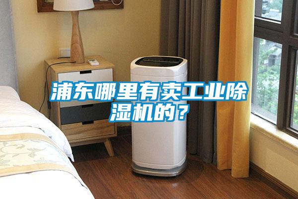 浦東哪里有賣(mài)工業(yè)除濕機(jī)的？