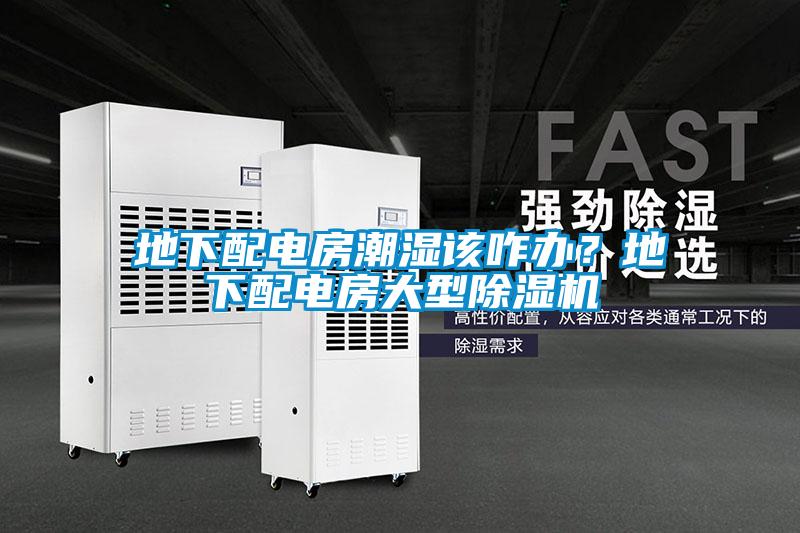 地下配電房潮濕該咋辦？地下配電房大型除濕機(jī)