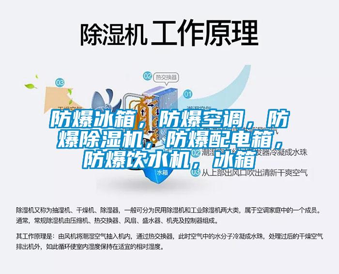 防爆冰箱,防爆空調,防爆除濕機,防爆配電箱,防爆飲水機,冰箱