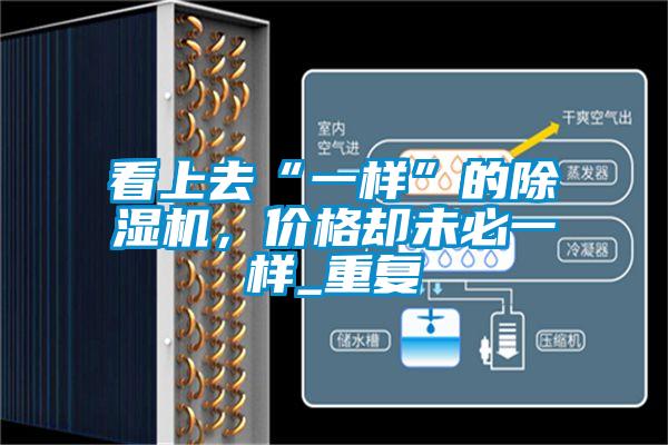 看上去“一樣”的除濕機(jī)，價(jià)格卻未必一樣_重復(fù)