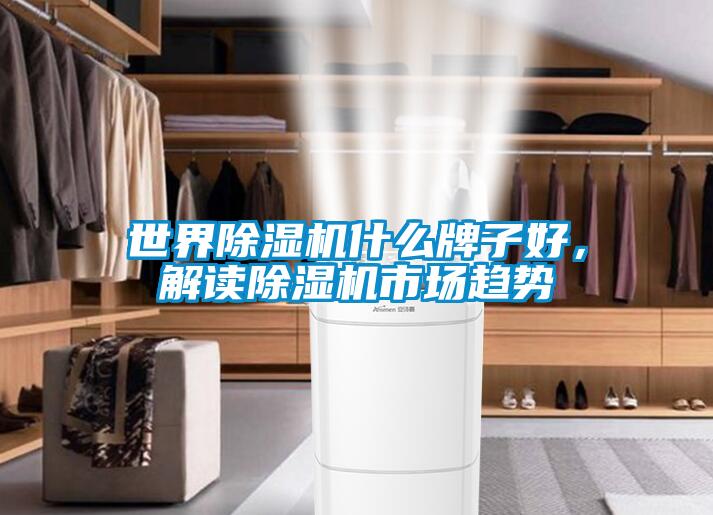 世界除濕機(jī)什么牌子好,解讀除濕機(jī)市場趨勢