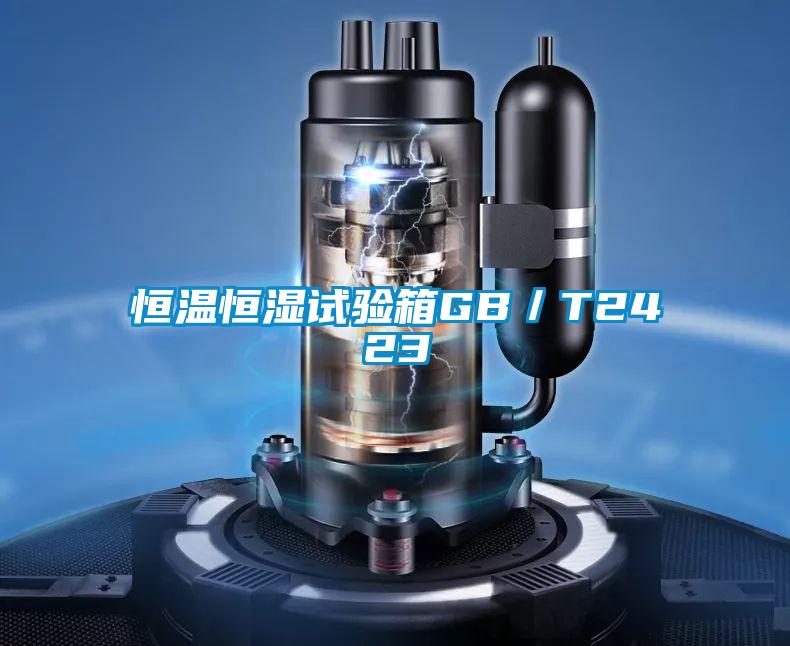 恒溫恒濕試驗(yàn)箱GB/T2423