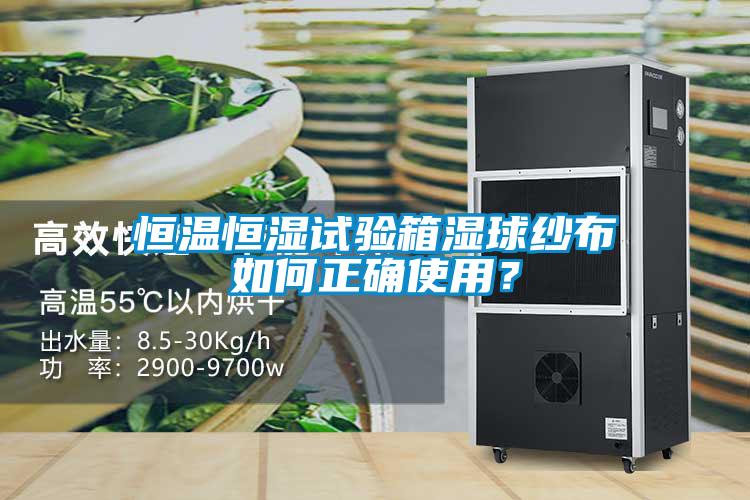 恒溫恒濕試驗箱濕球紗布如何正確使用?