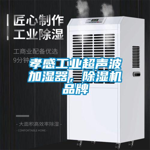 孝感工業超聲波加濕器,除濕機品牌