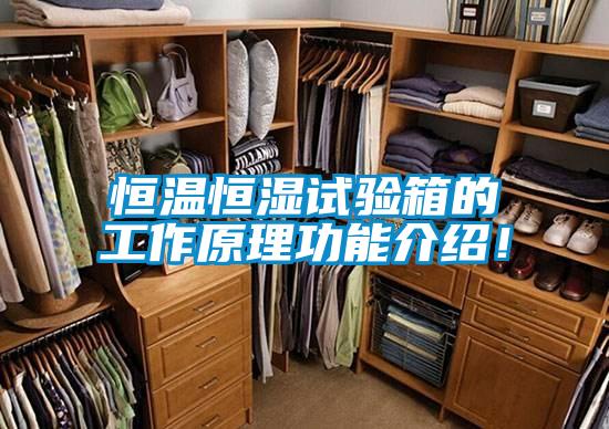 恒溫恒濕試驗箱的工作原理功能介紹!