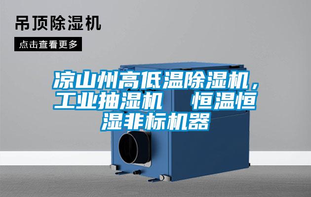 涼山州高低溫除濕機，工業(yè)抽濕機  恒溫恒濕非標(biāo)機器