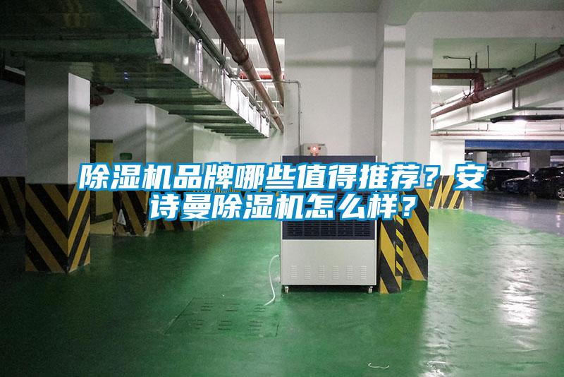 除濕機(jī)品牌哪些值得推薦?安詩(shī)曼除濕機(jī)怎么樣?