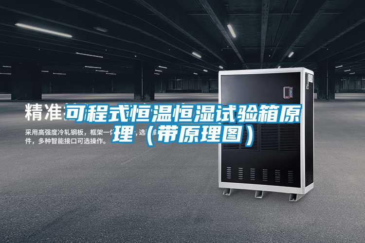 可程式恒溫恒濕試驗(yàn)箱原理(帶原理圖)