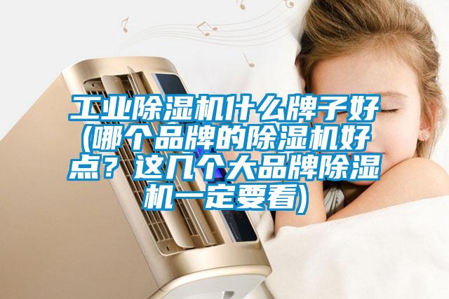 工業(yè)除濕機什么牌子好(哪個品牌的除濕機好點?這幾個大品牌除濕機一定要看)