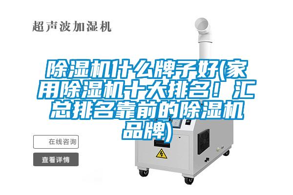 除濕機什么牌子好(家用除濕機十大排名！匯總排名靠前的除濕機品牌)