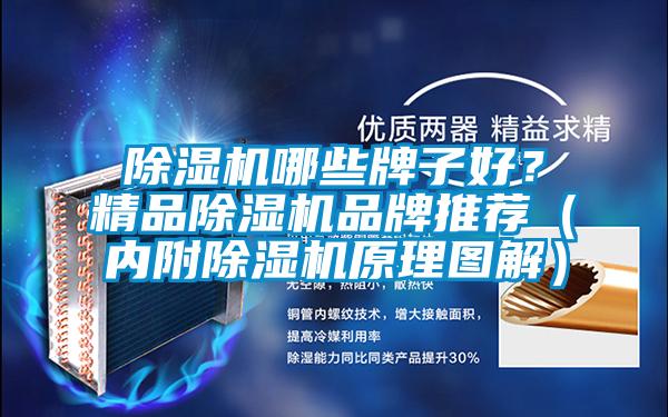 除濕機(jī)哪些牌子好?精品除濕機(jī)品牌推薦(內(nèi)附除濕機(jī)原理圖解)