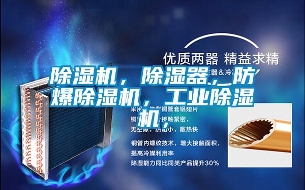 除濕機(jī)，除濕器，防爆除濕機(jī)，工業(yè)除濕機(jī)，